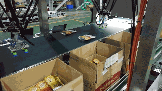 1543393817474150.gif 4.蠶豆現(xiàn)場生產(chǎn)視頻_clip.gif